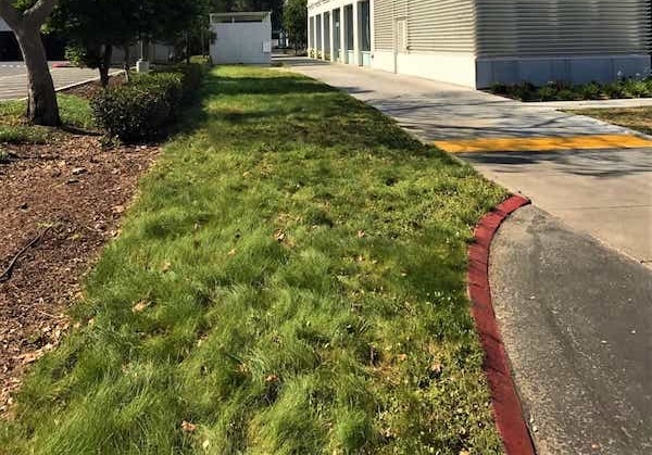 grass-access-easement